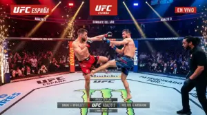 Apuestas en Vivo UFC: Guía de Live Betting MMA en España