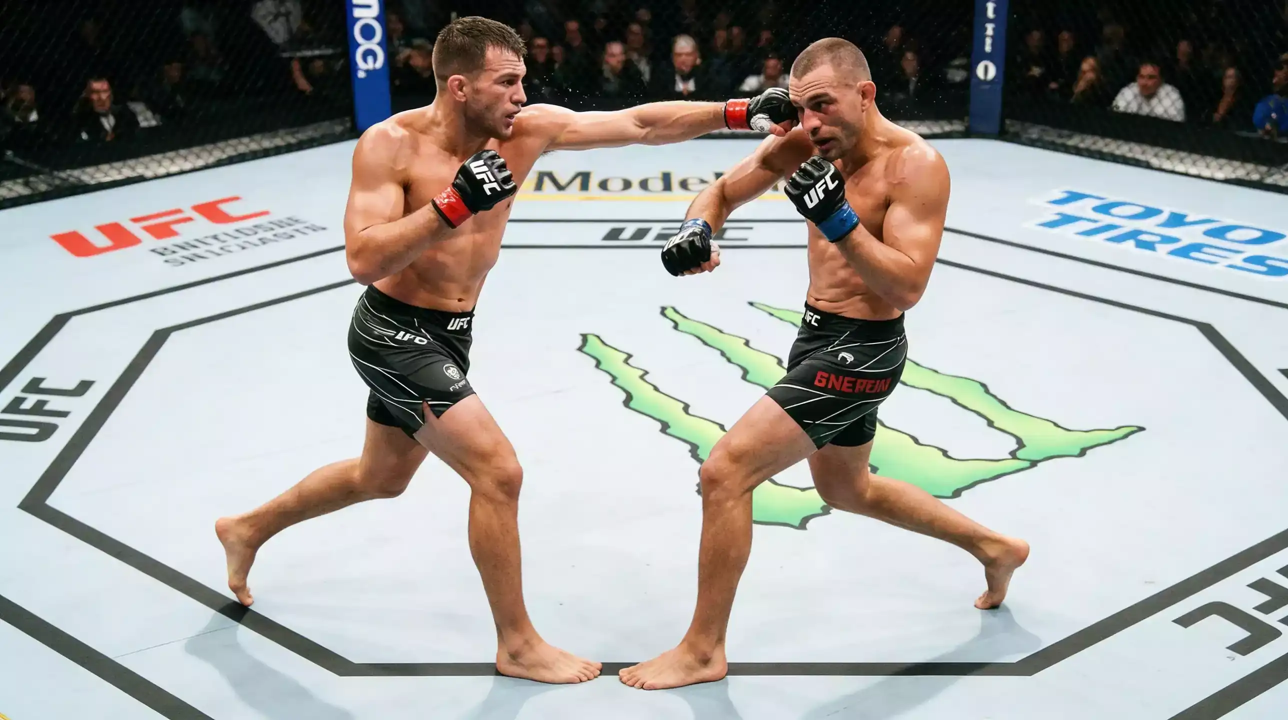 Peleadores de MMA en el octágono durante combate profesional